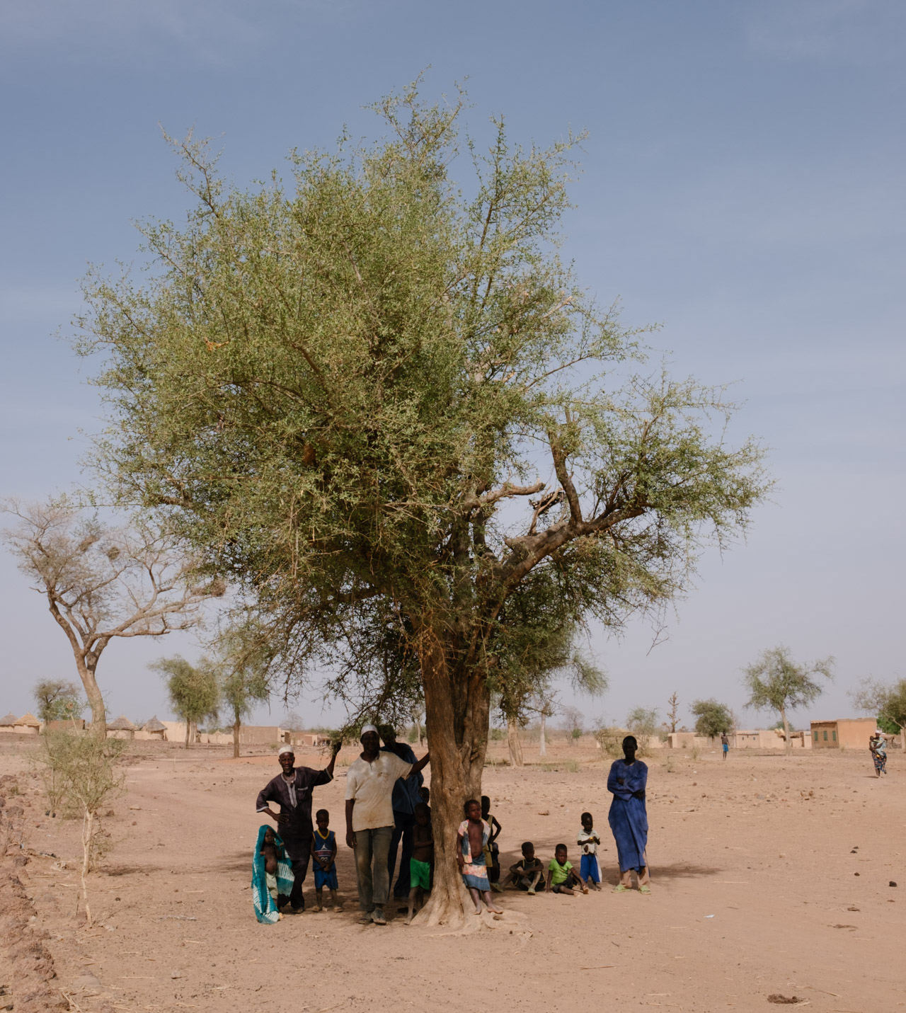 Burkina-Faso-Trees-Reforestation-Ecosia--35-of-38-