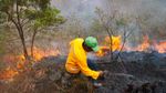 Nous consacrons 800 000 € à la lutte contre les feux de forêt cette année