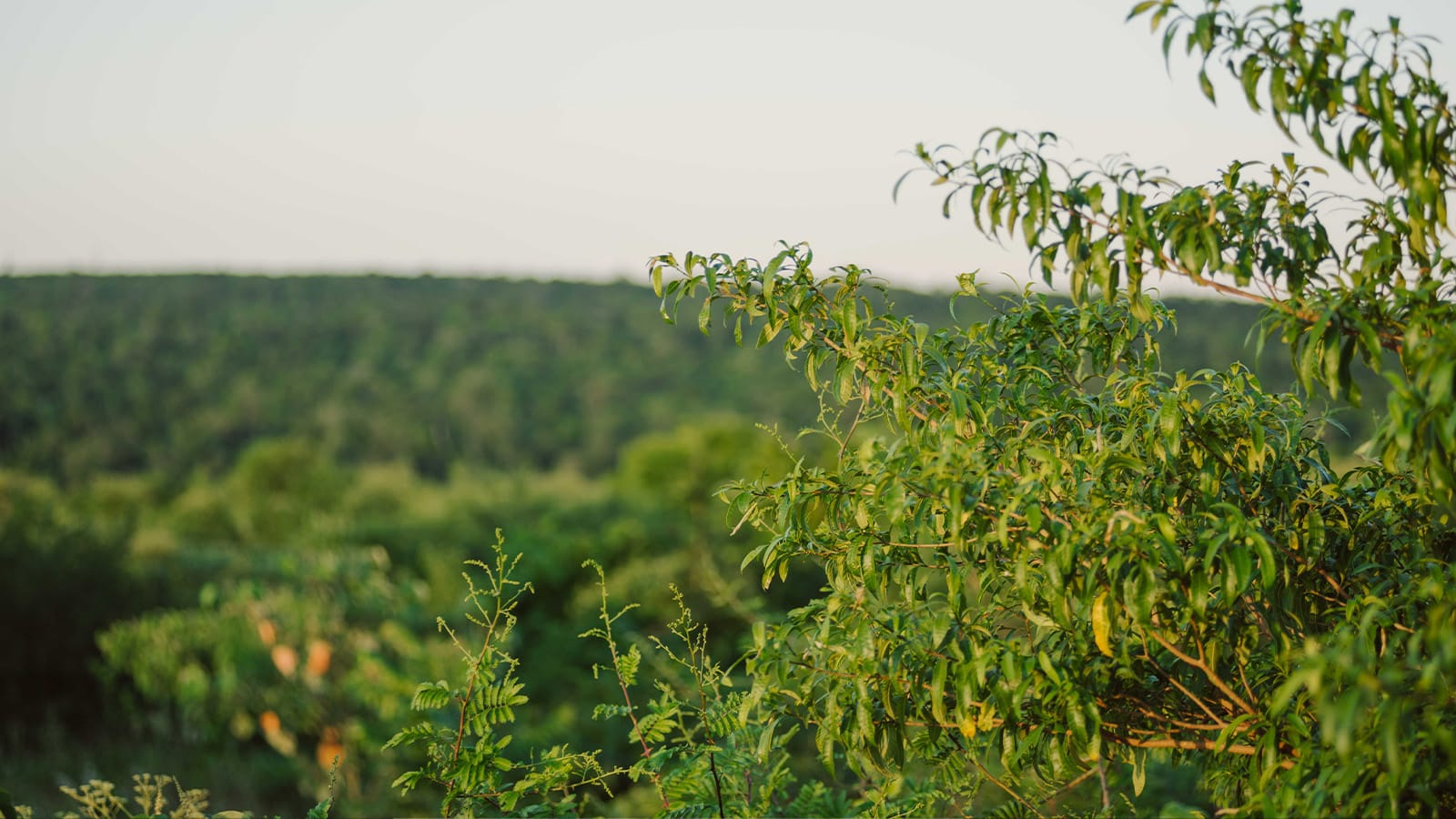 COMMENT SE D BARASSER D ECOSIA visual data 7