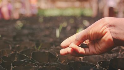 Nos films préférés sur la nature