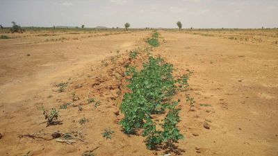 Burkina Faso : visite sur le terrain