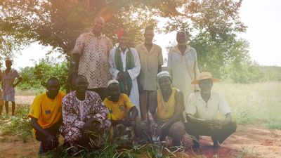 Que pensent les communautés du programme de plantation d’arbres d’Ecosia ?