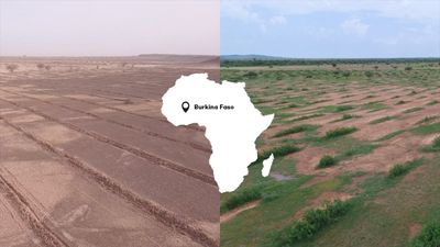 D’un désert appauvri à une forêt fertile