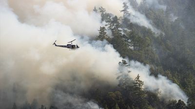 Après les feux de forêts en Californie, nous nous devons d'agir !