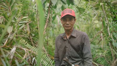 Bilan des plantations d’arbres : épisode 17