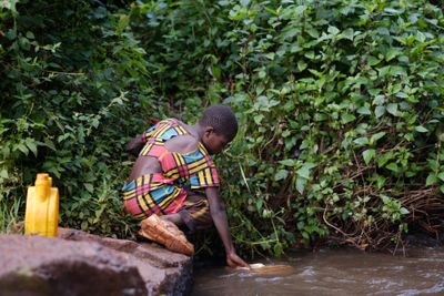 Protéger les rivières du Kenya grâce aux arbres