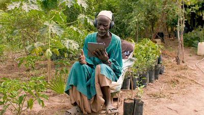 Les personnes qui plantent vos arbres réagissent à vos messages