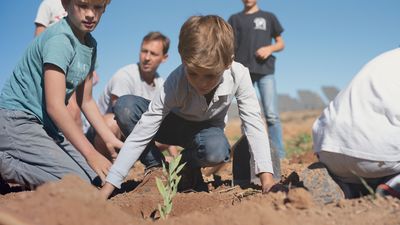 Comment planter un arbre