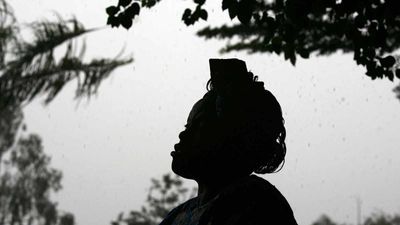 La révolution des arbres de Wangari Maathai