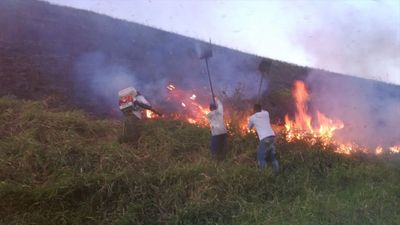 Les forêts brésiliennes sont à nouveau en feu. Voilà ce que vous pouvez faire