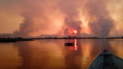 La plus grande zone humide au monde est en feu : comment peut-on sauver le Pantanal ?