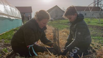 Comment sauver les nouveaux pactes verts