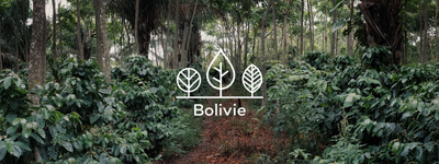 Vos arbres en Bolivie