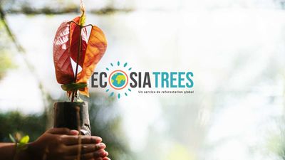 Notre plan pour planter encore plus d'arbres, plus rapidement : découvrez Ecosia Trees