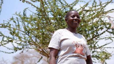 Régénérer les forêts de Tanzanie sans planter d’arbres