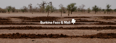 Vos arbres au Burkina Faso et au Mali
