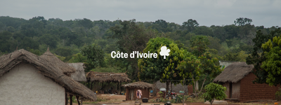 Vos arbres en Côte d'Ivoire