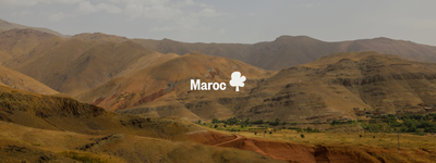 Vos arbres au Maroc