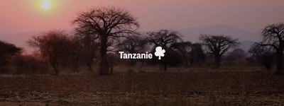 Vos arbres en Tanzanie