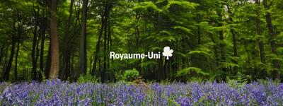 Vos arbres au Royaume-Uni