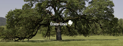 Vos arbres aux États-Unis