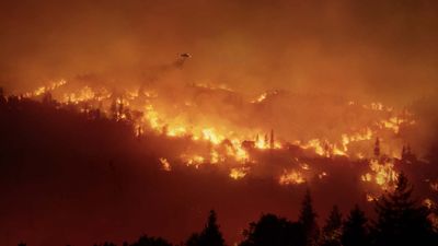 Comment les feux de forêt sont déclenchés et comment les arrêter