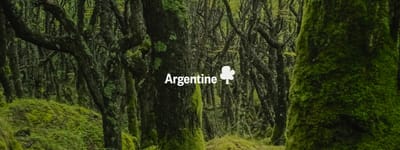 Votre arbres en Argentine