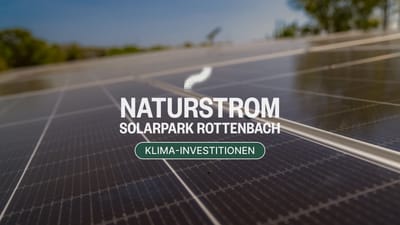 Ecosia investit dans les énergies renouvelables