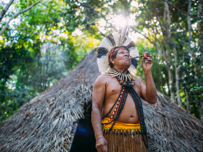 De l'Amazonie à l'Atlantique : nous protégeons et restaurons les forêts brésiliennes