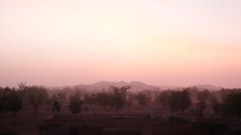 Ecosia Plante Il Vraiment Des Arbres News from Ecosia